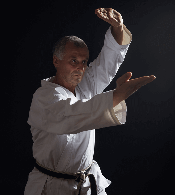 Martial Arts Lessons for Adults in MI MI - Older Man