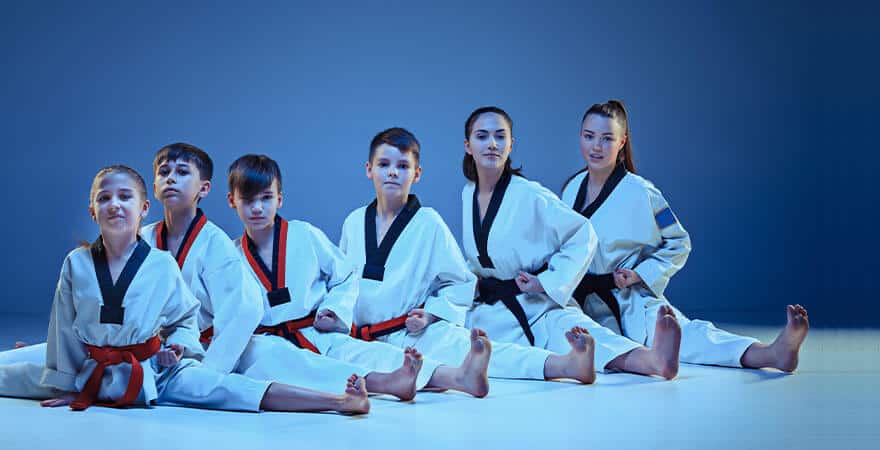 Martial Arts Lessons for Kids in MI MI - Kids Group Splits