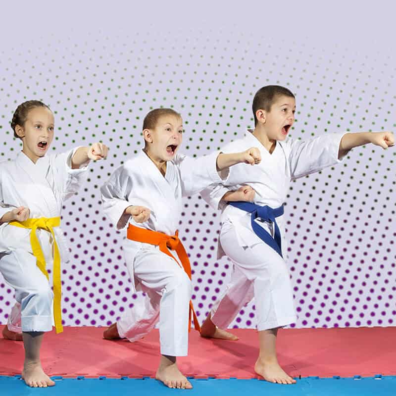 Martial Arts Lessons for Kids in MI MI - Punching Focus Kids Sync