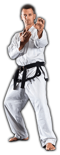 Grand Master of Martial Arts Lessons for Kids in MI MI - Master full Profile homepage slide