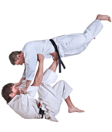 Brazilian Jiu Jitsu Lessons for Adults in MI MI - BJJ Floor Throw Men