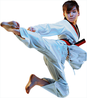 Martial Arts | Lessons for Teens in MI, MI